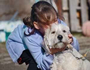 Amour des animaux